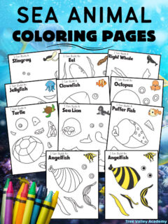 Coloring pages for kids archives