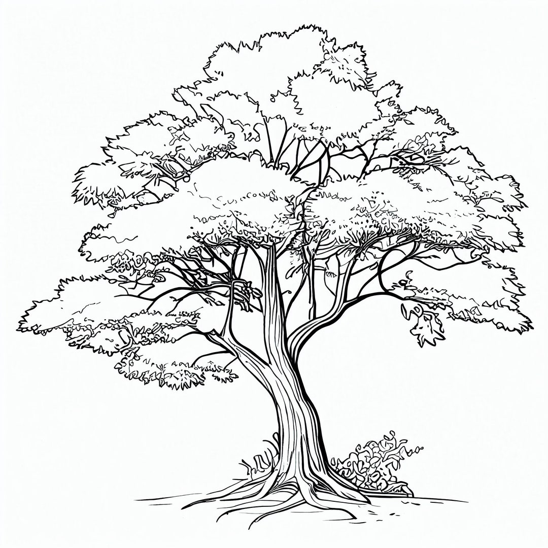 Enchanting tree coloring pages for nature lovers unique designs print paint