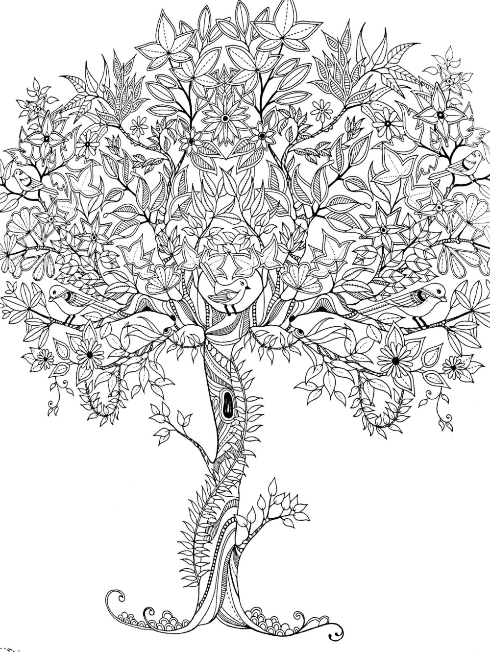 Trees coloring books adultcoloringbookz tree coloring page free coloring pages detailed coloring pages