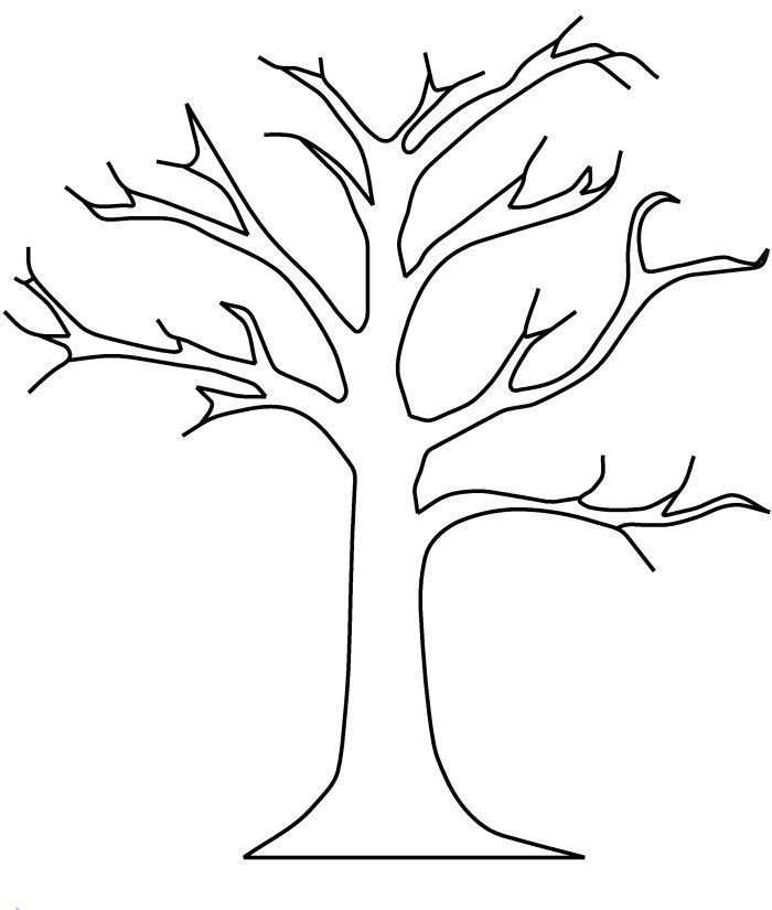 Fall trees coloring pages printable for free download