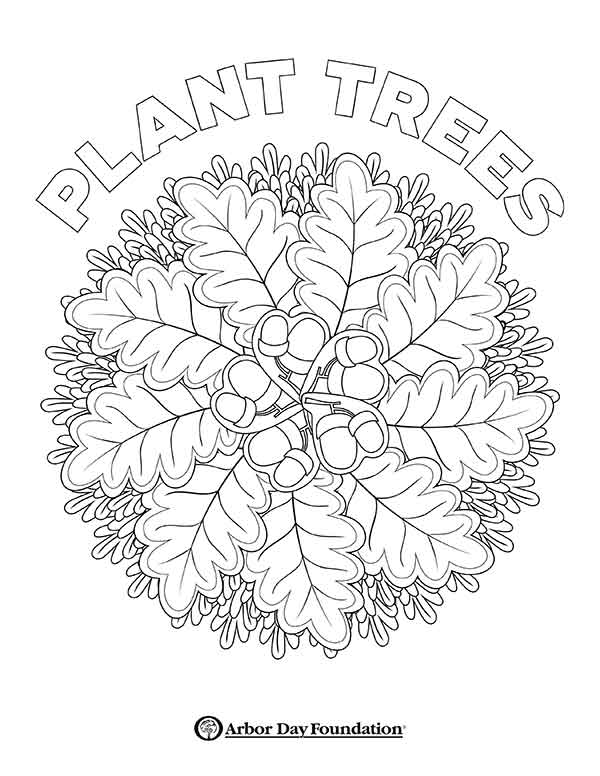 Coloring pages at