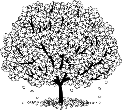 Blossom tree coloring page free printable coloring pages