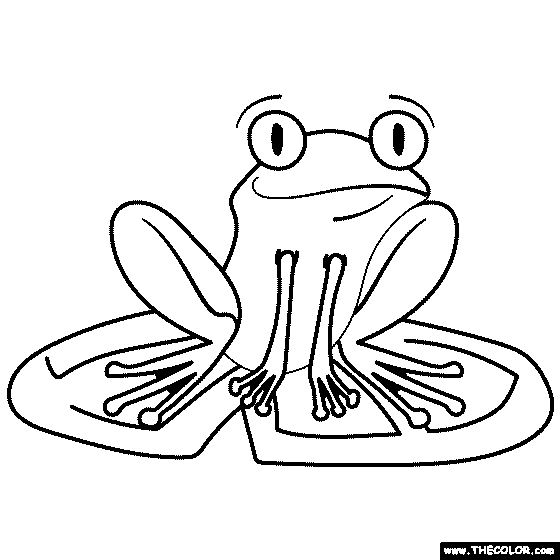 Tree frog coloring page