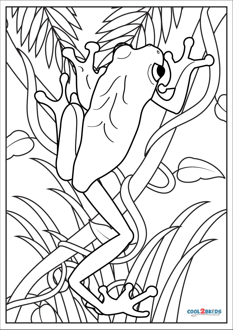 Free printable tree frog coloring pages for kids