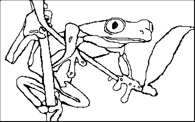 Coloring book red eyed tree frog frog coloring pages red eyed tree frog coloring pages