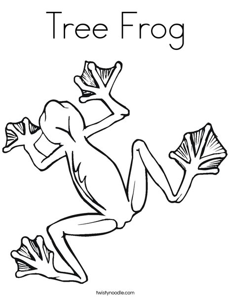 Tree frog coloring page