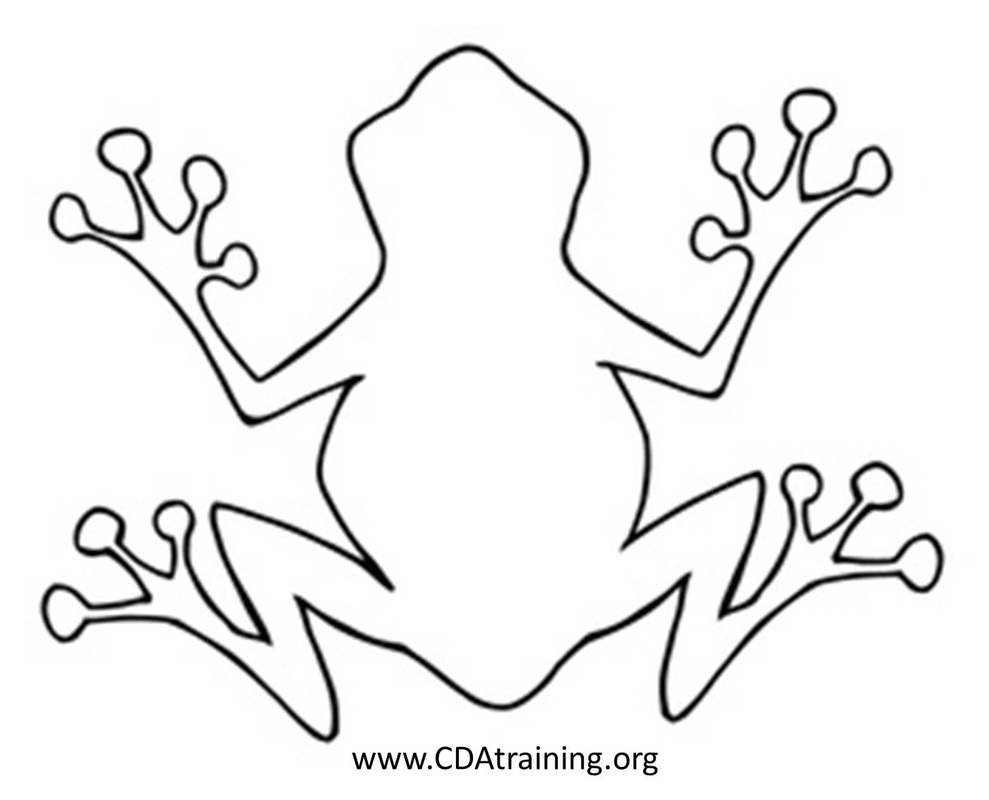 Frog curriculum theme