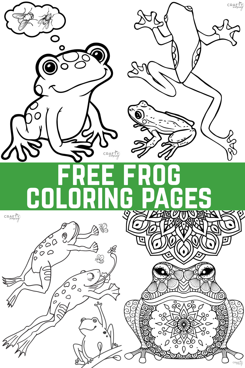 Free frog coloring pages to print