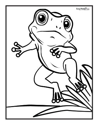 Frog coloring pages â printable coloring pages