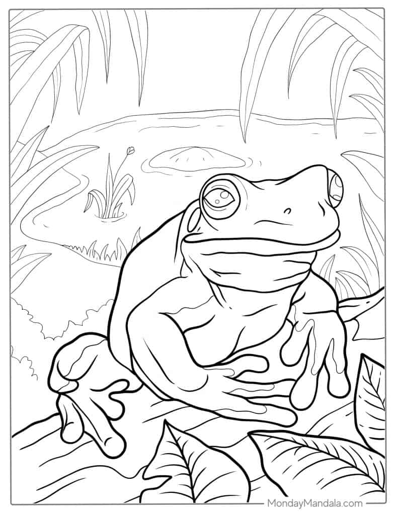 Frog coloring pages free pdf printables