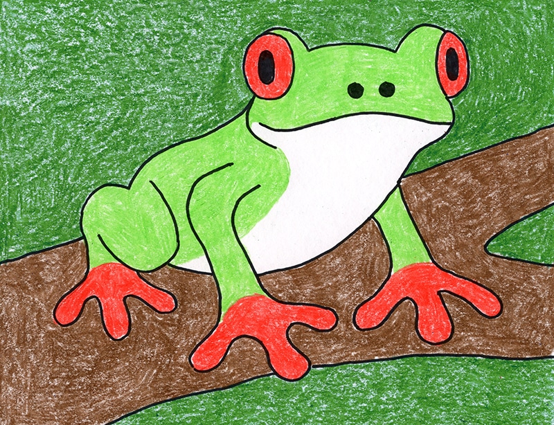 Easy how to draw a tree frog and tree frog coloring page