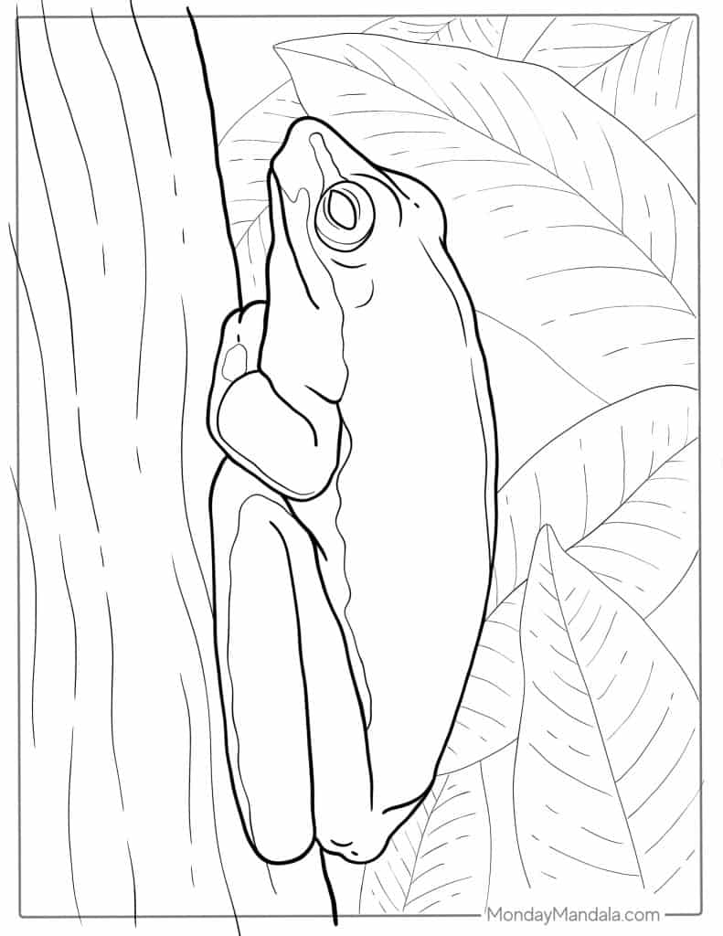 Frog coloring pages free pdf printables