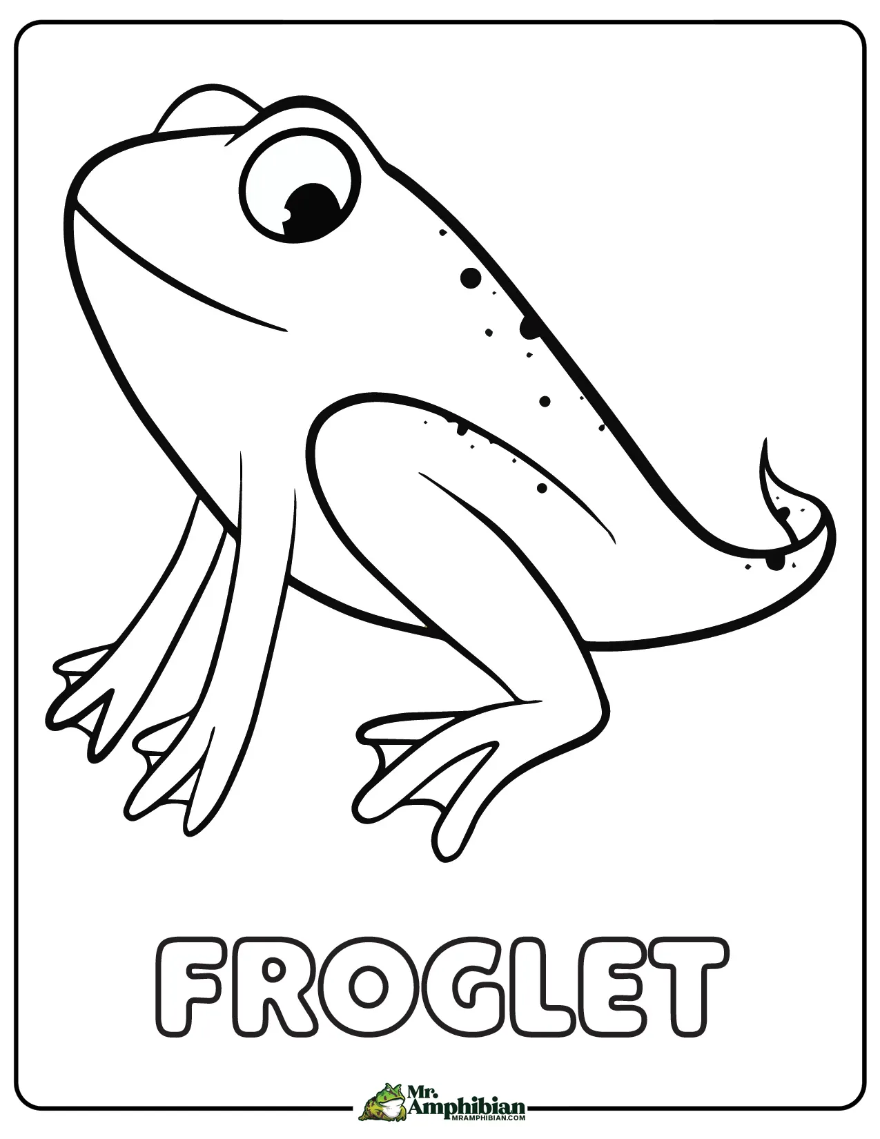 Life cycle of a frog activities for kids