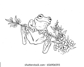 Australian green tree frog stock illustration