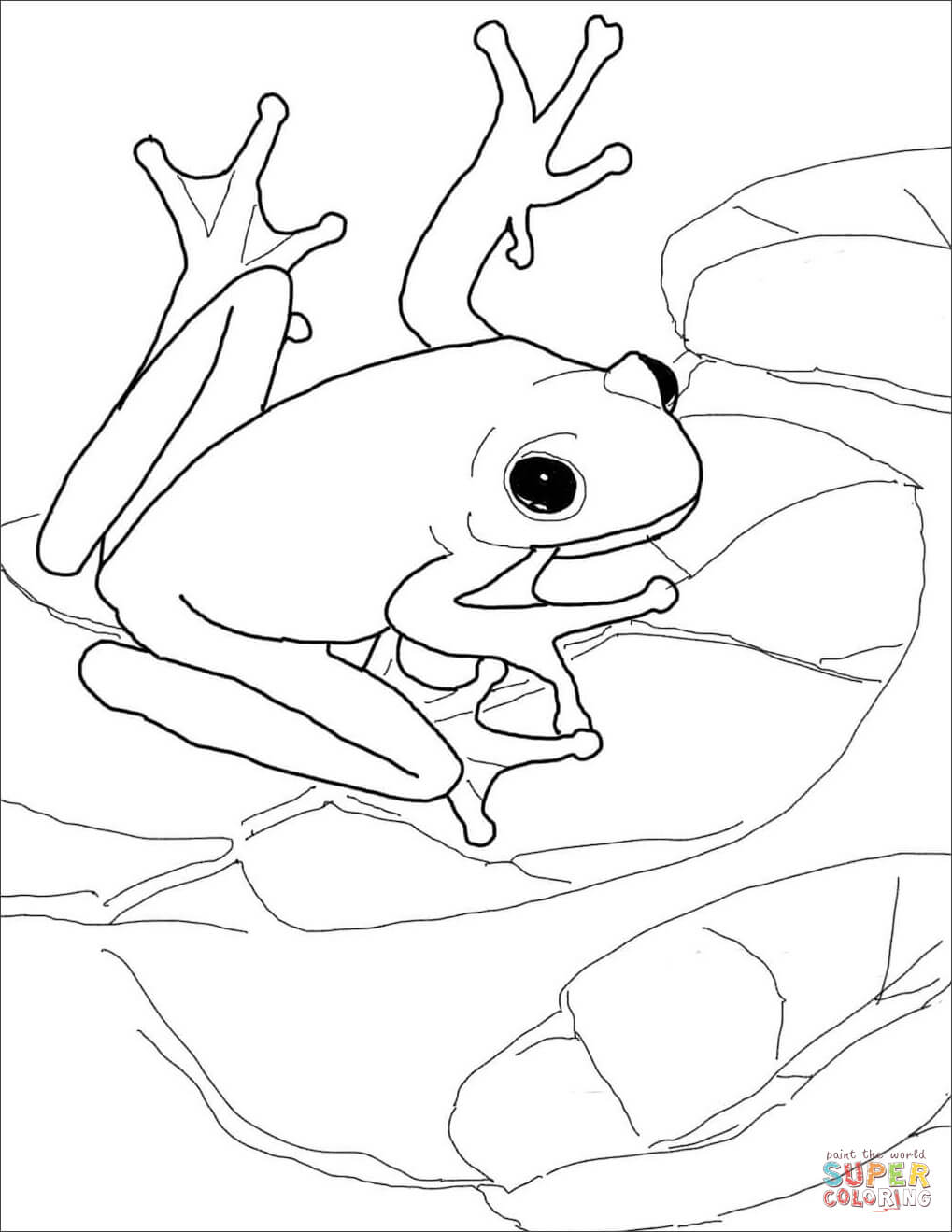 American green tree frog coloring page free printable coloring pages