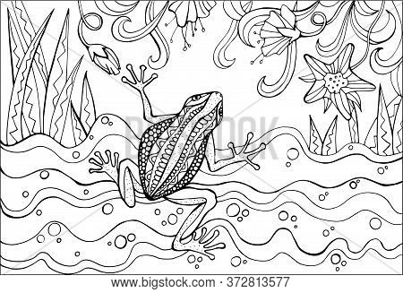 Frog toad tree frog vector photo free trial bigstock