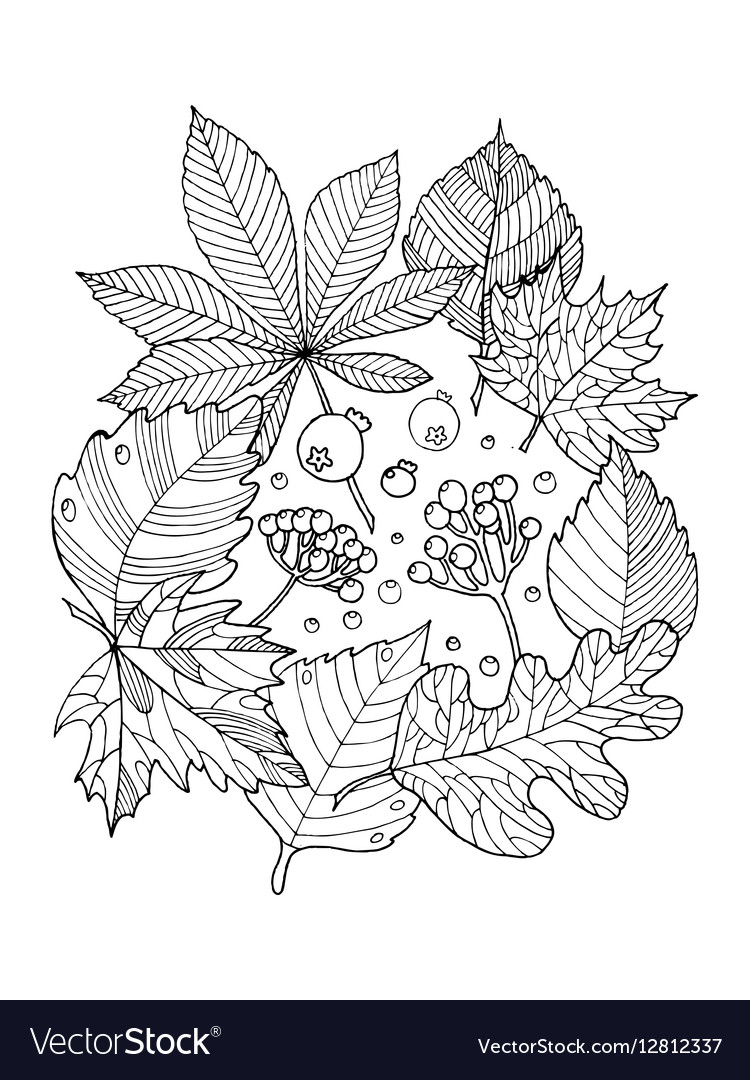 Tree leaves coloring book royalty free vector image