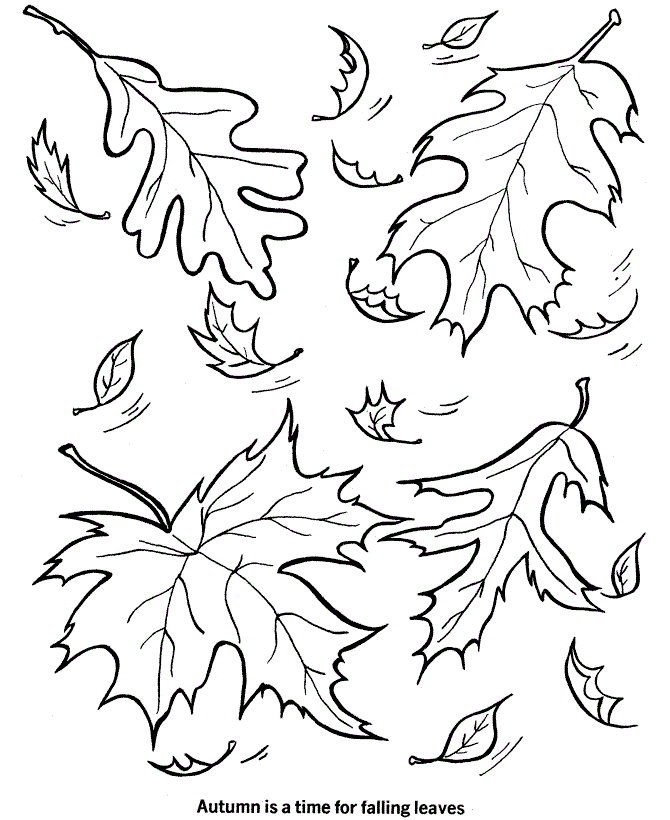 Free printable leaf coloring pages for kids