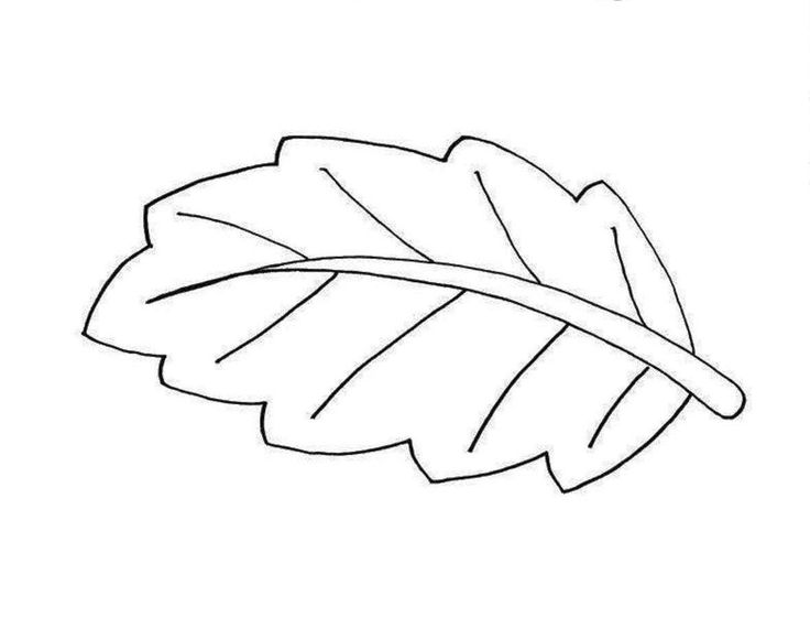 Free leaf coloring pages printable leaf coloring page leaf coloring fall leaves coloring pages