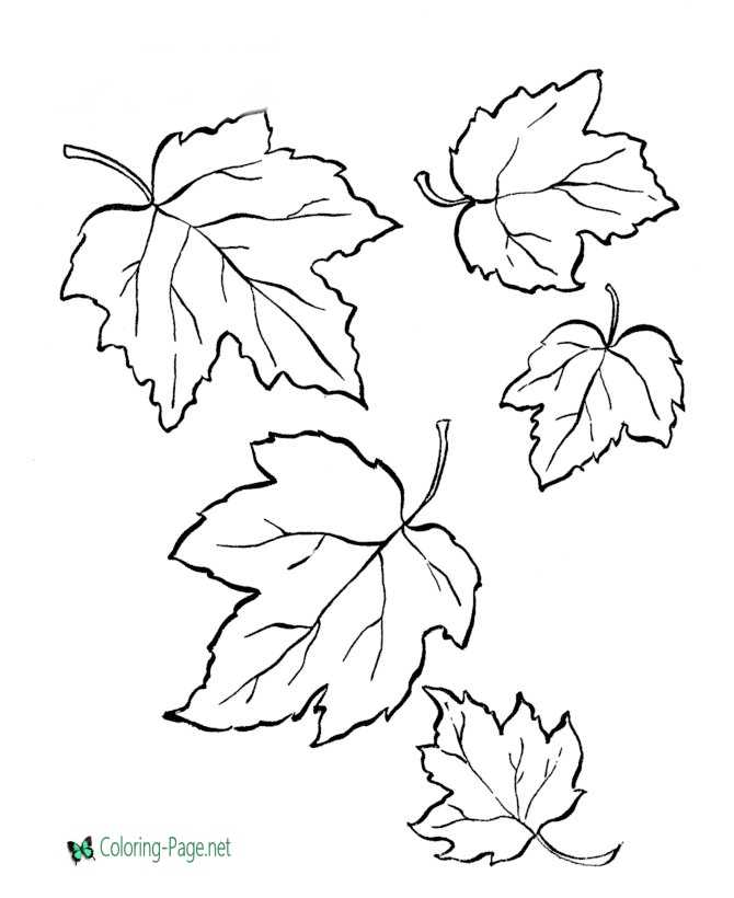 Tree leaves coloring pages