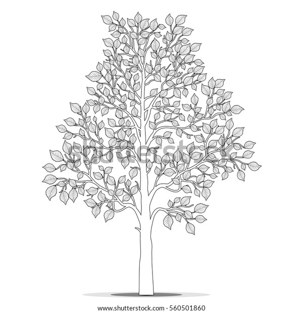 Tree leaves coloring book page vector stock vector royalty free