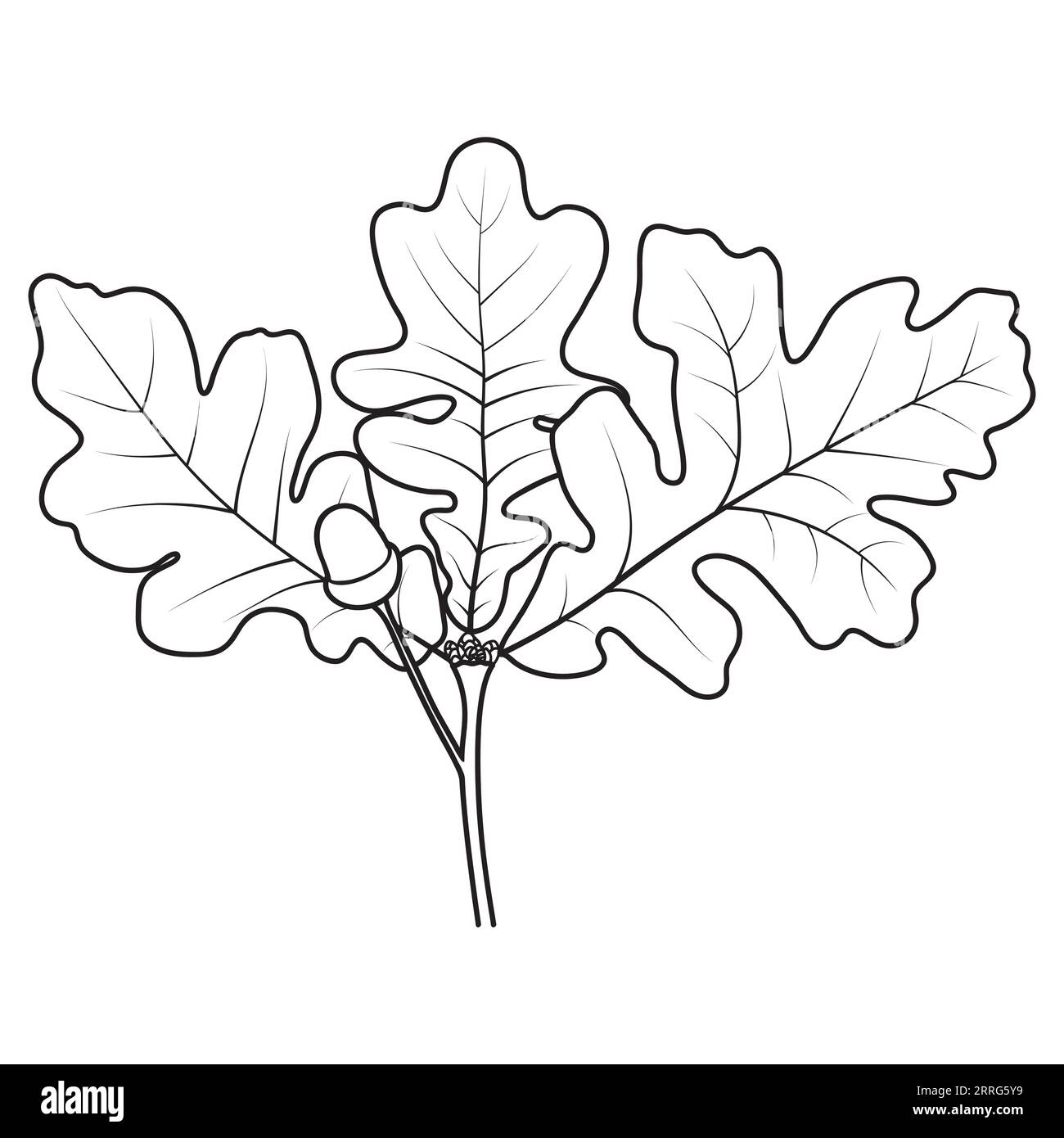 Coloring of leaves cut out stock images pictures