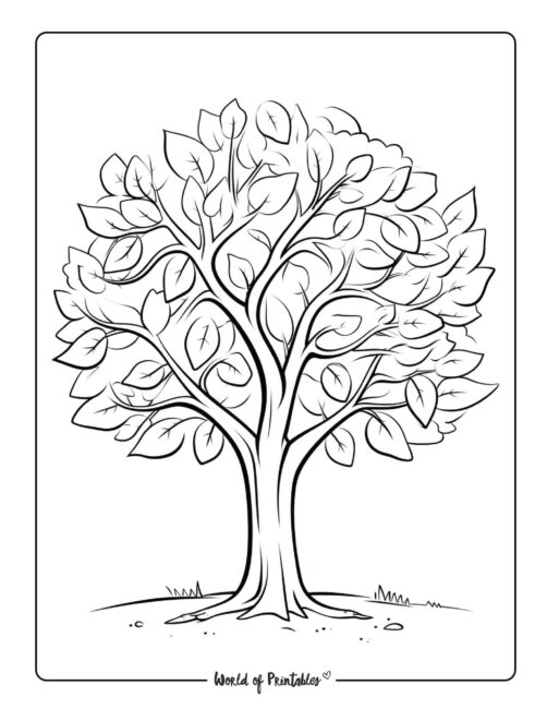 Tree coloring pages