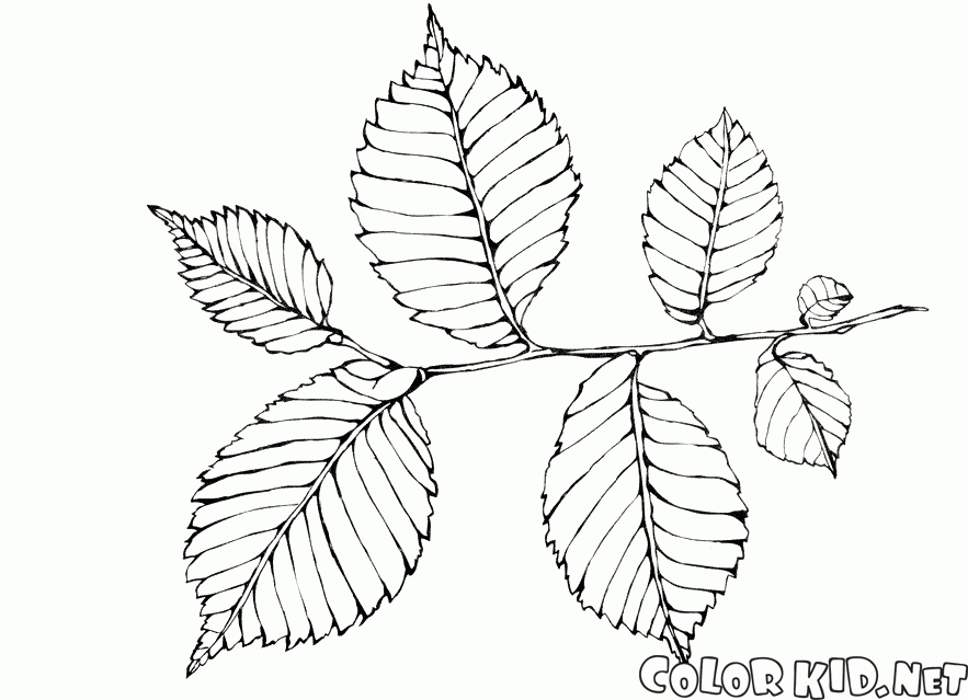 Coloring page