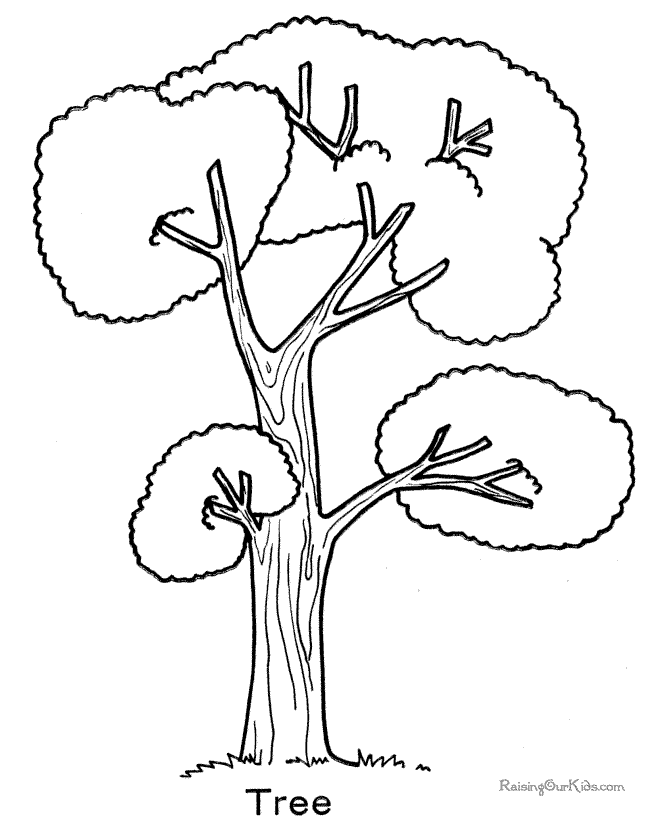 Large tree and leaf coloring page