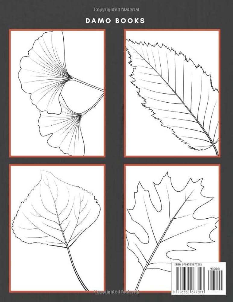 Tree leaves coloring book tree leaves coloring book pages with funny high quality tree leaves designs to color the best funny tree leaves collection of tree leaves coloring pages by