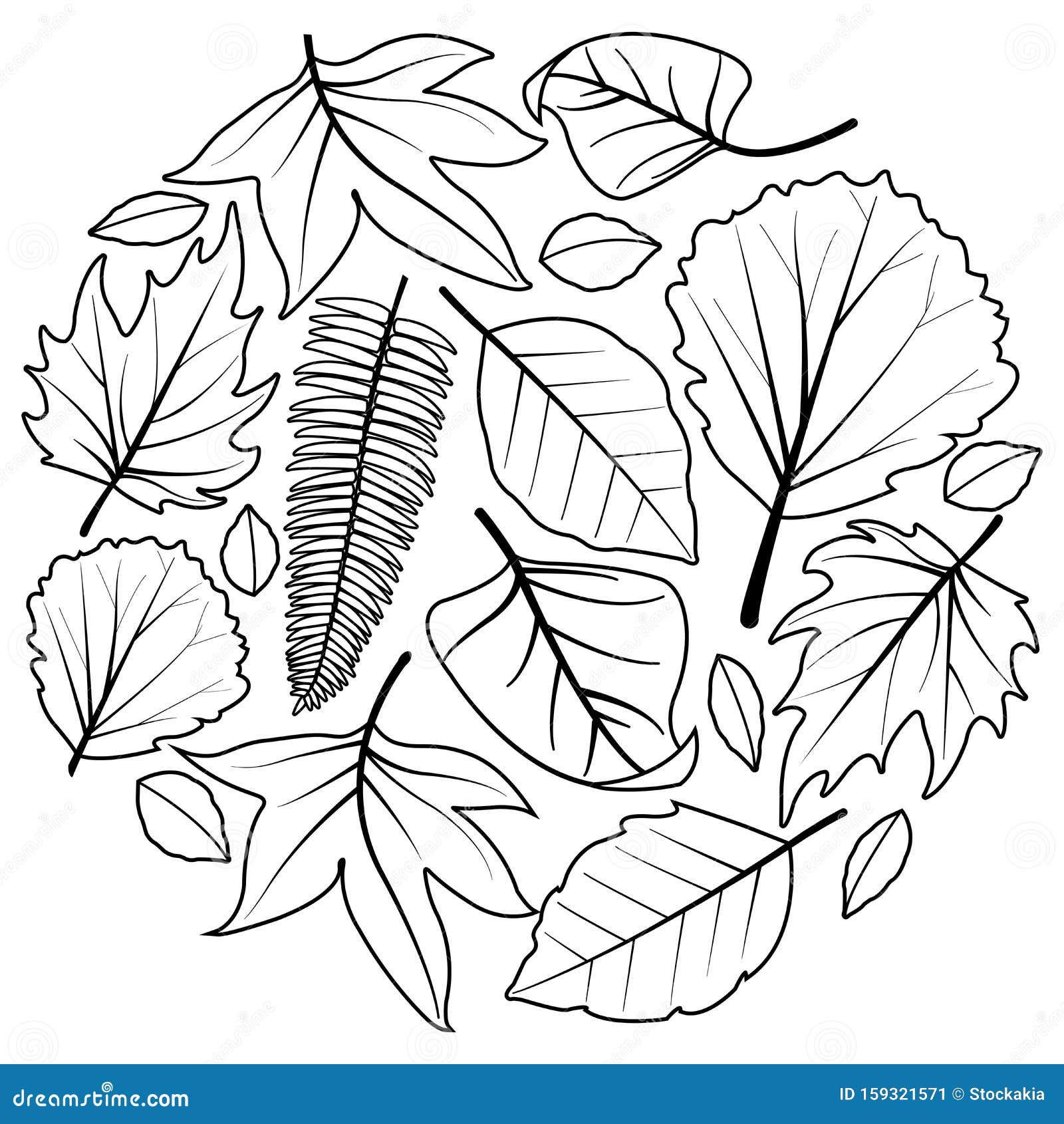 Autumn tree leaves collection vector black and white coloring page stock vector