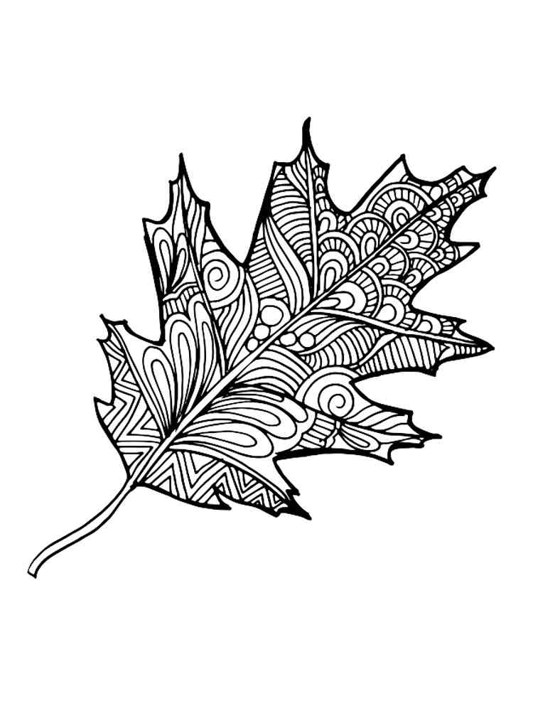 Leaves coloring pages for adults