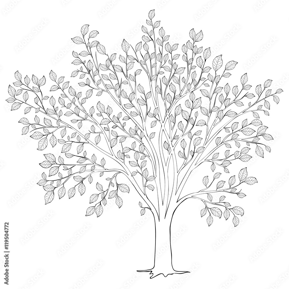 Tree with leaves silhouette vector coloring book page for adult vector