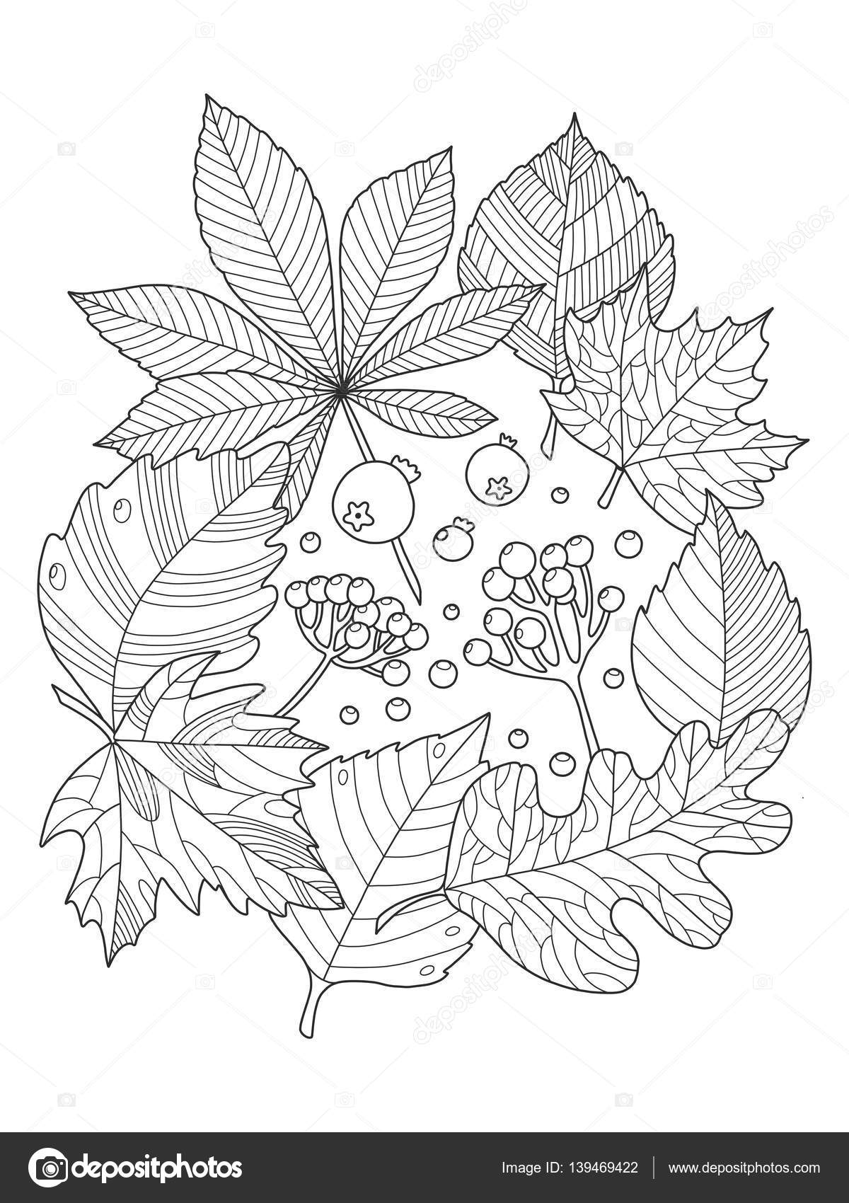 Tree leaves coloring book vector illustration stock vector by alexanderpokusay