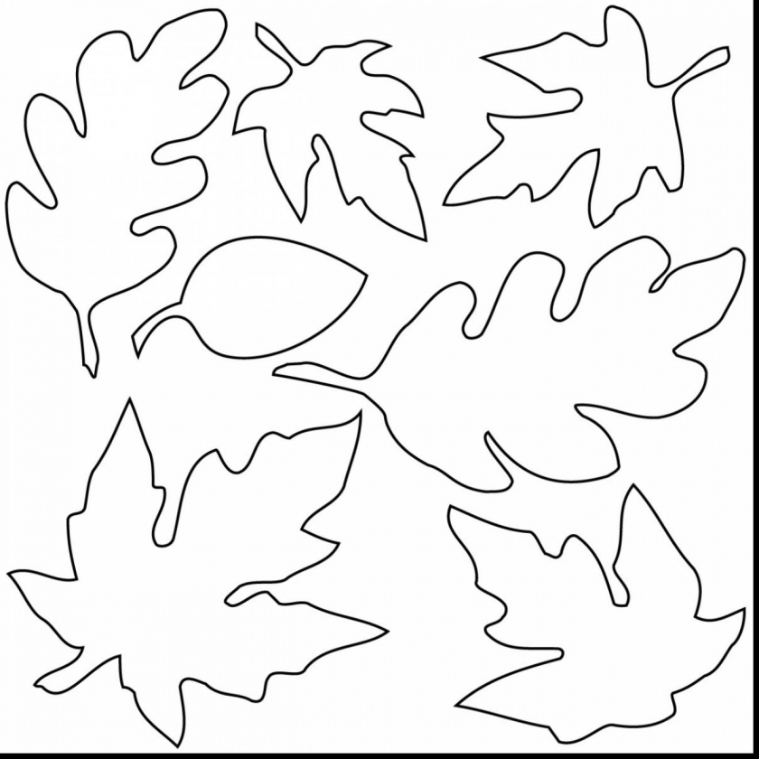 Get this fall leaves coloring pages for kindergarten b