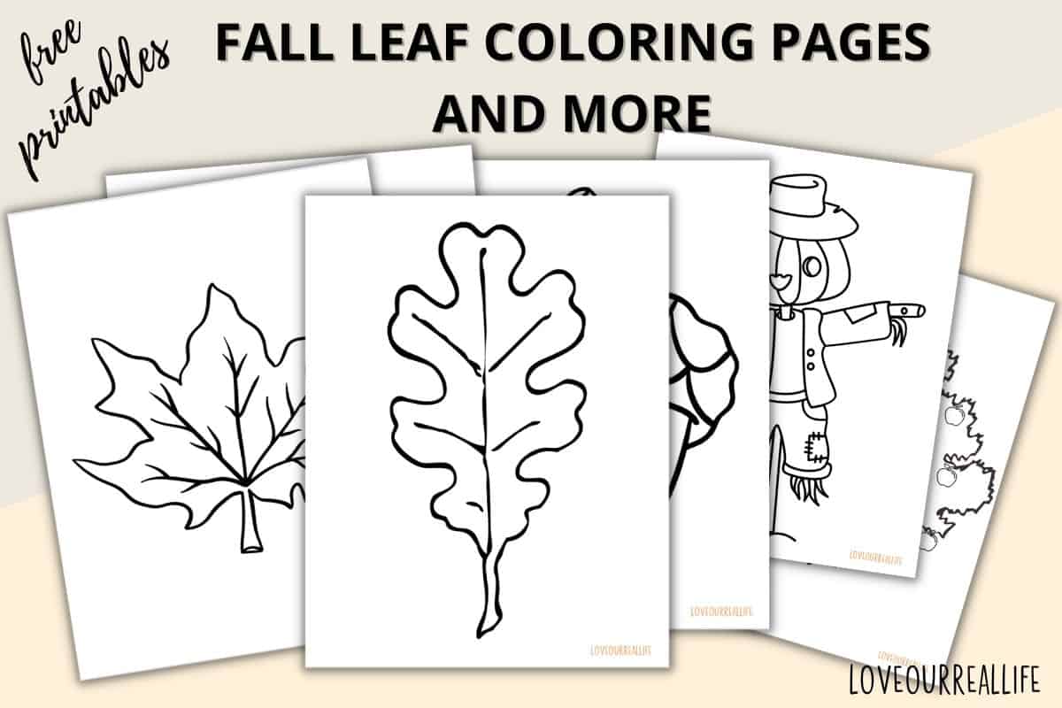 Fall leaves coloring pages free printable leaf templates â love our real life