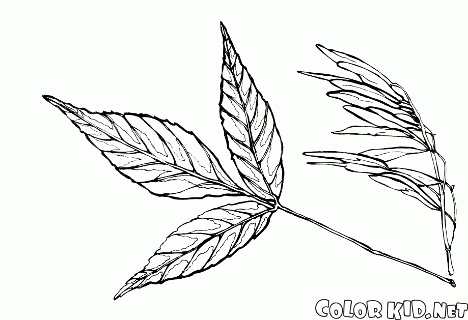 Coloring page