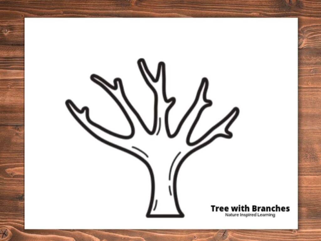 Printable fall tree coloring pages