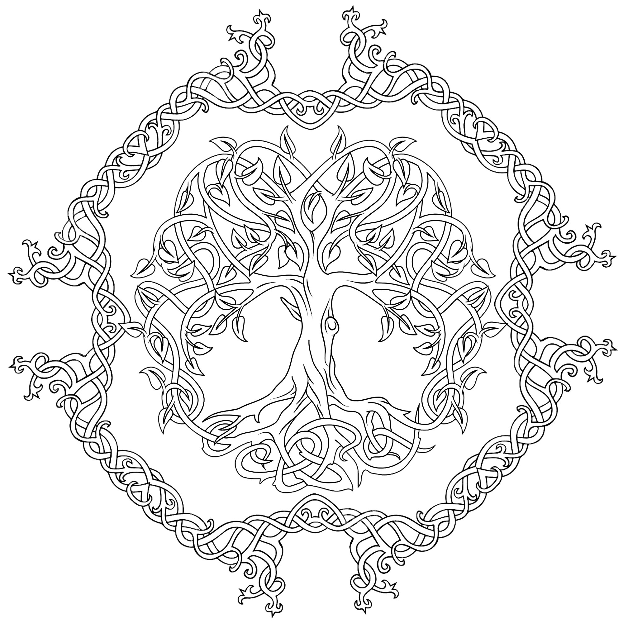 Tree of life and celtic outline