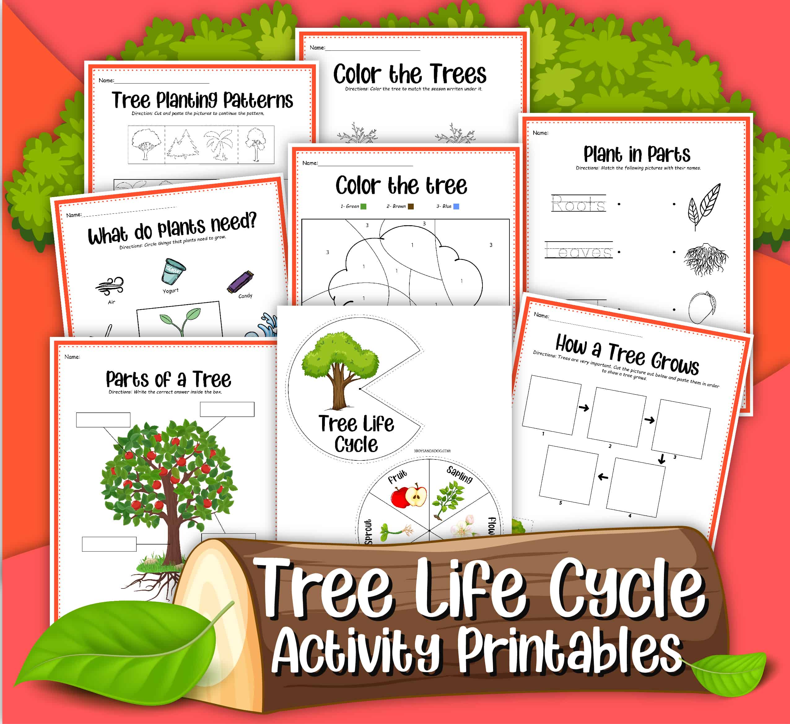 Tree life cycle printable activities