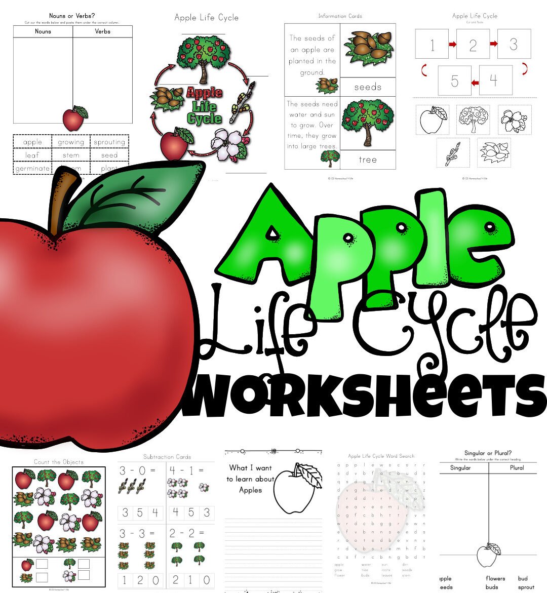 Ð free apple life cycle printable worksheets