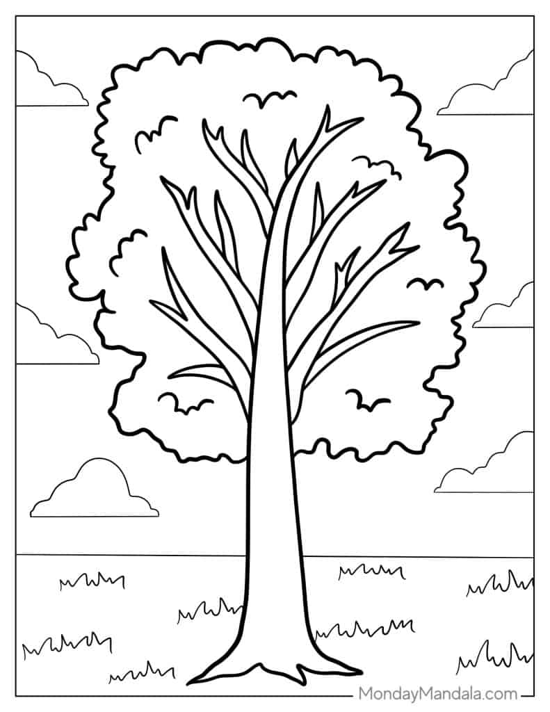 Tree coloring pages free pdf printables