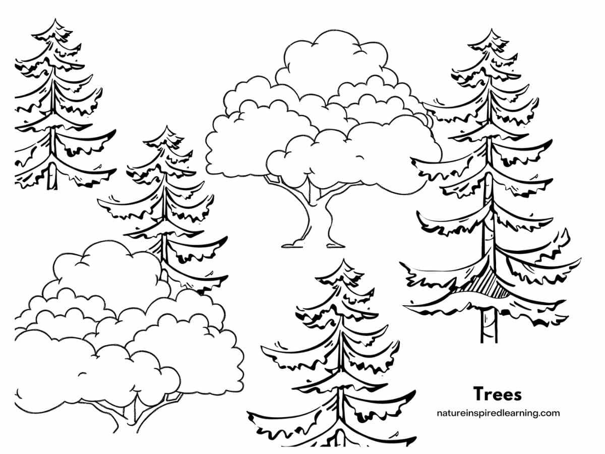 Tree coloring pages