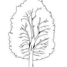 Tree coloring pages