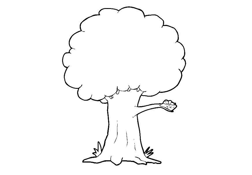 Online coloring pages with coloring tree with crown tree