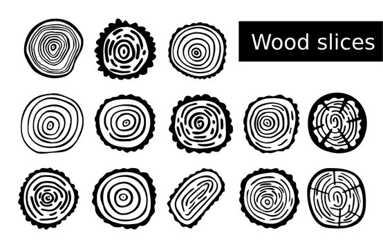 Tree stump clip art images â browse photos vectors and video