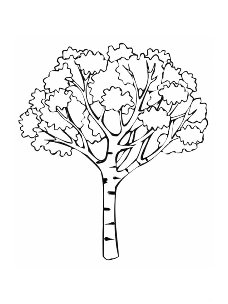 Tree with a trunk with black markings coloring page