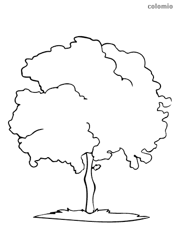 Trees coloring pages free printable tree coloring sheets