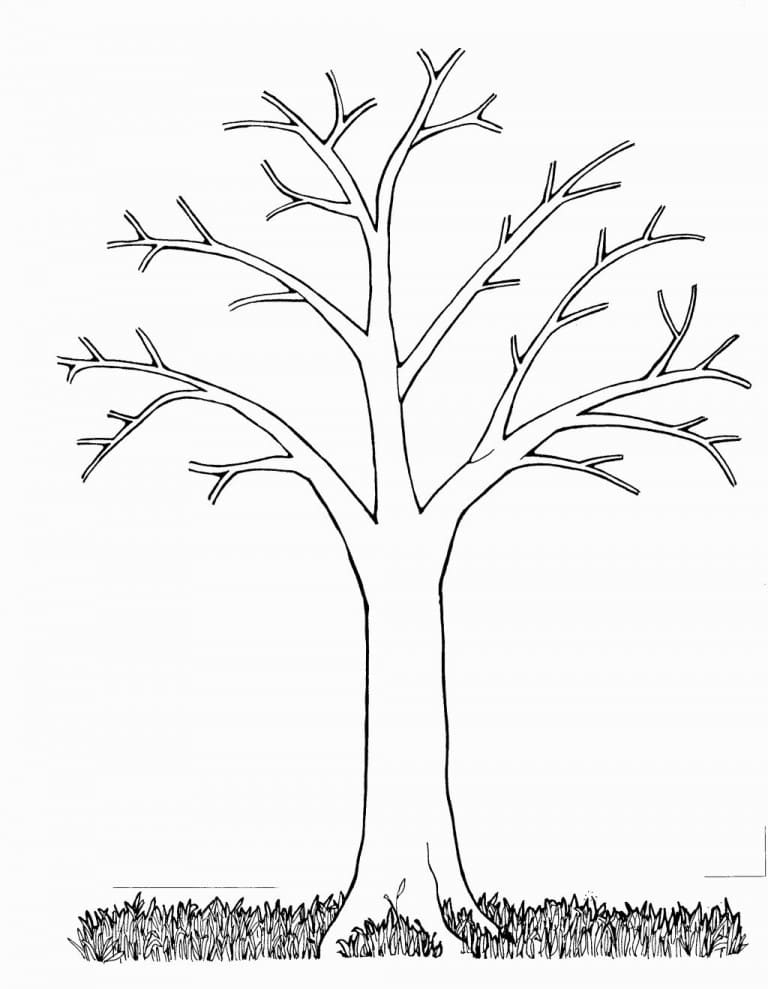 Trees coloring pages printable coloring pages for kids