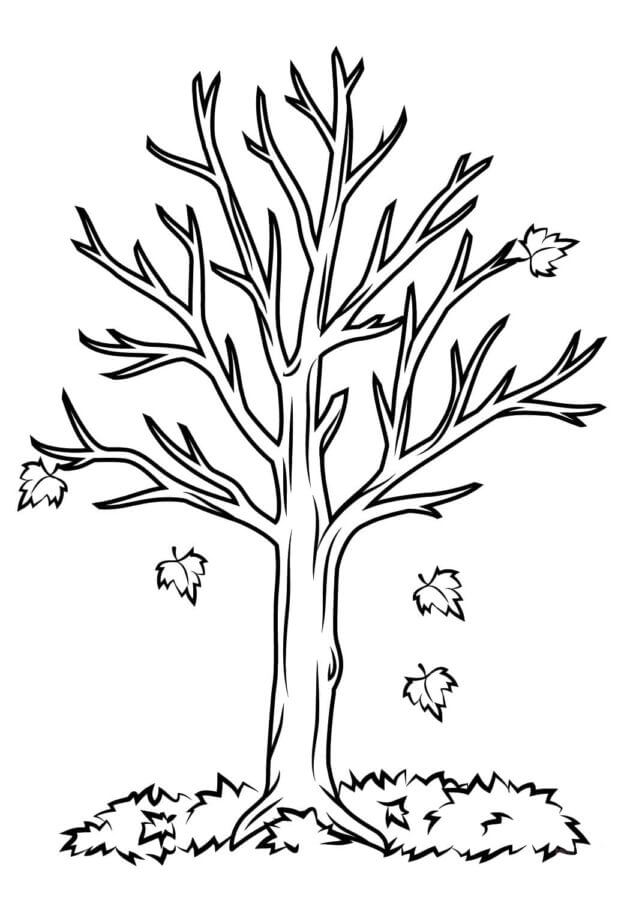 Leaves fall from the tree coloring page